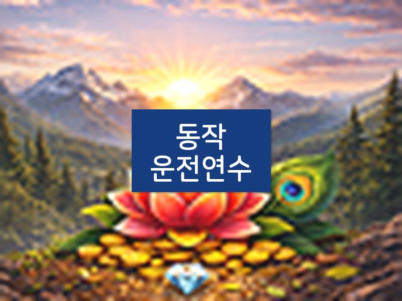 동작운전연수 후기