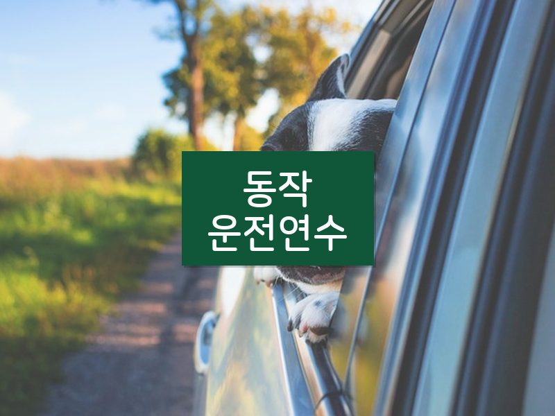 동작운전연수 후기