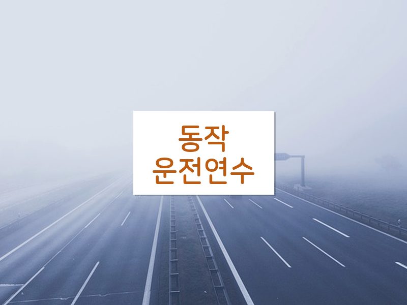 동작운전연수 후기
