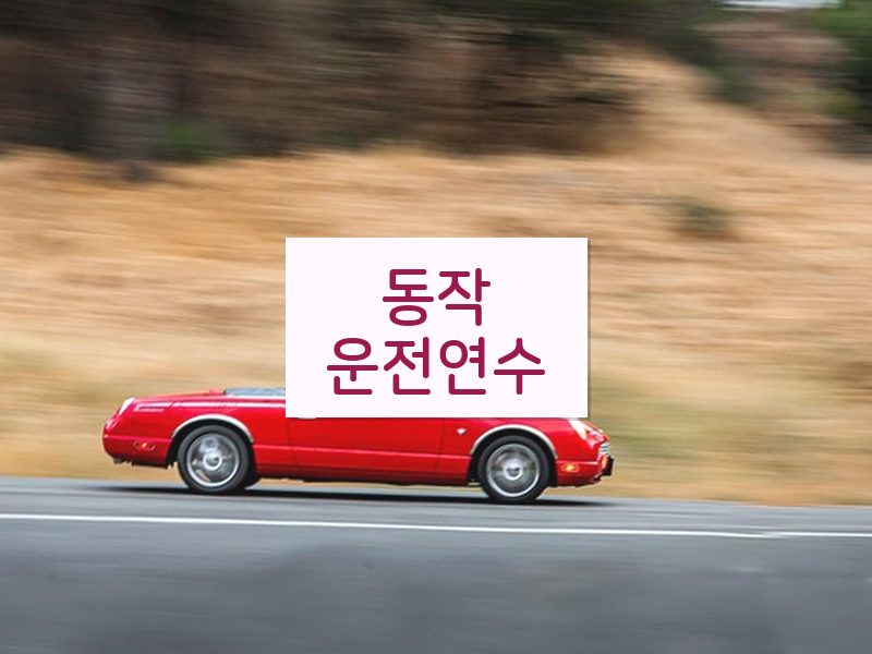 동작운전연수 후기
