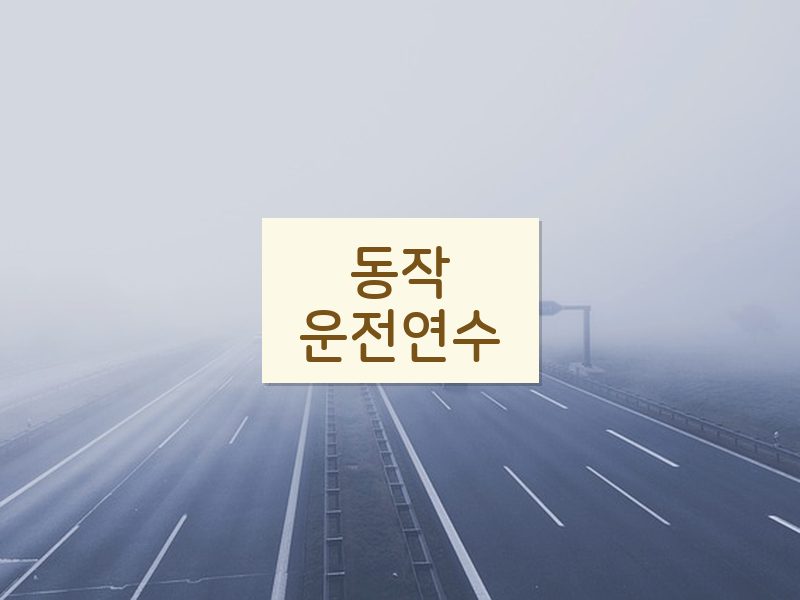 동작운전연수 후기