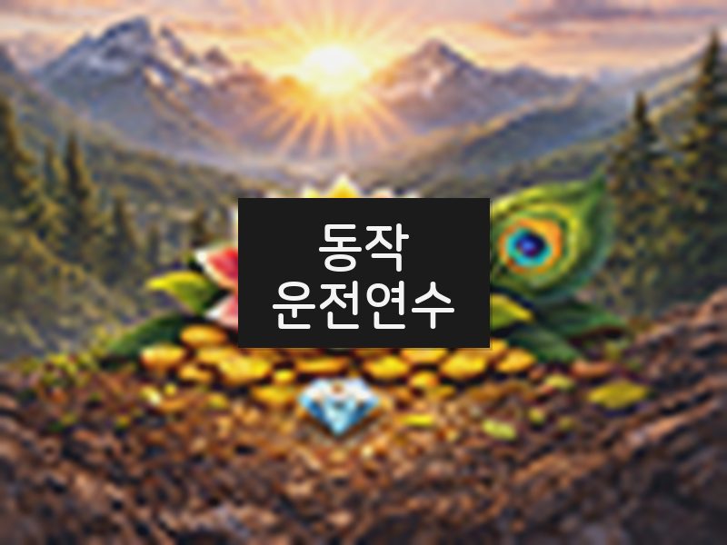 동작운전연수 후기