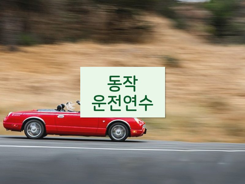 동작운전연수 후기