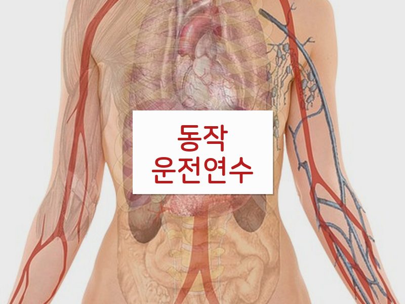 동작운전연수 후기