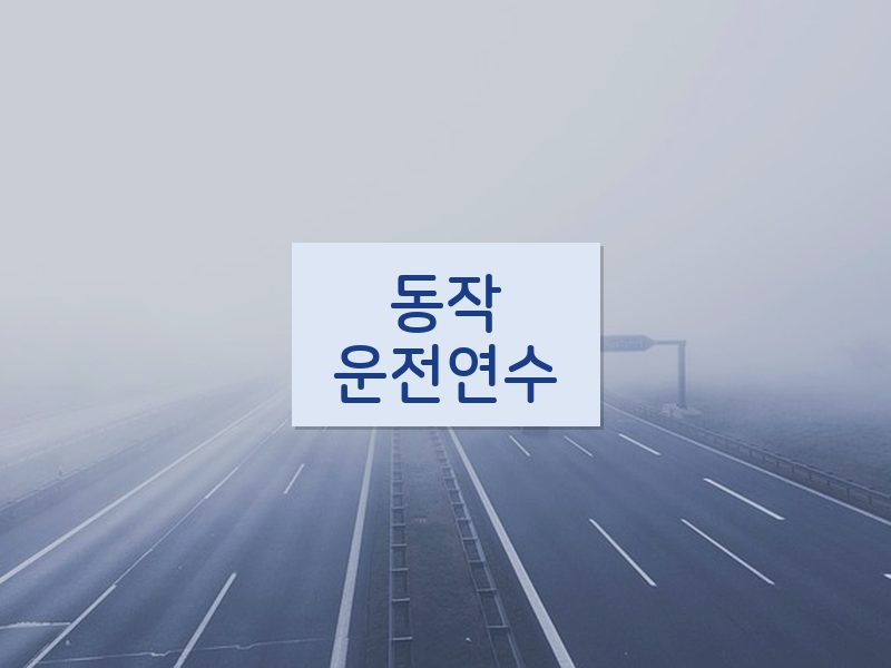 동작운전연수 후기