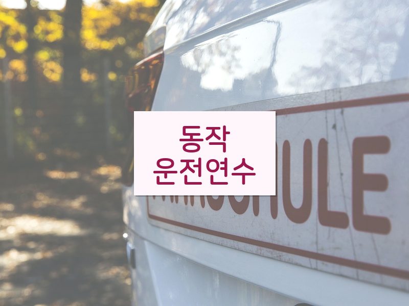 동작운전연수 후기