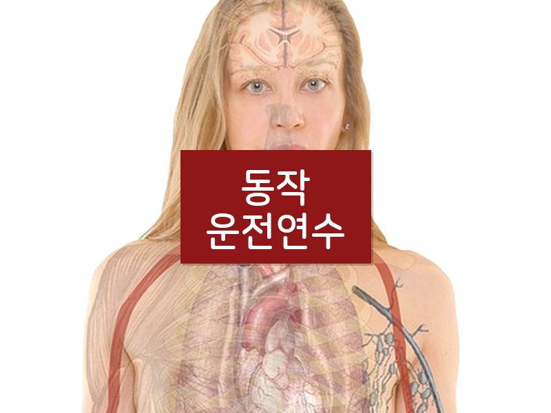 동작운전연수 후기