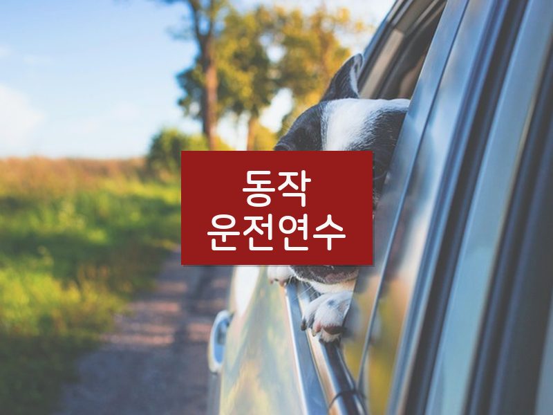 동작운전연수 후기