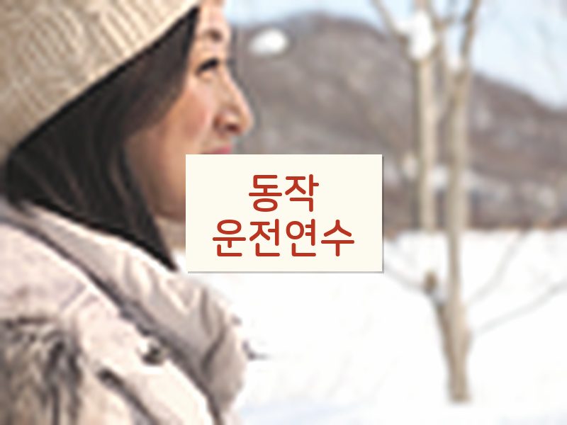 동작운전연수 후기