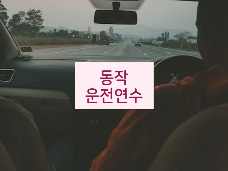 동작운전연수 후기