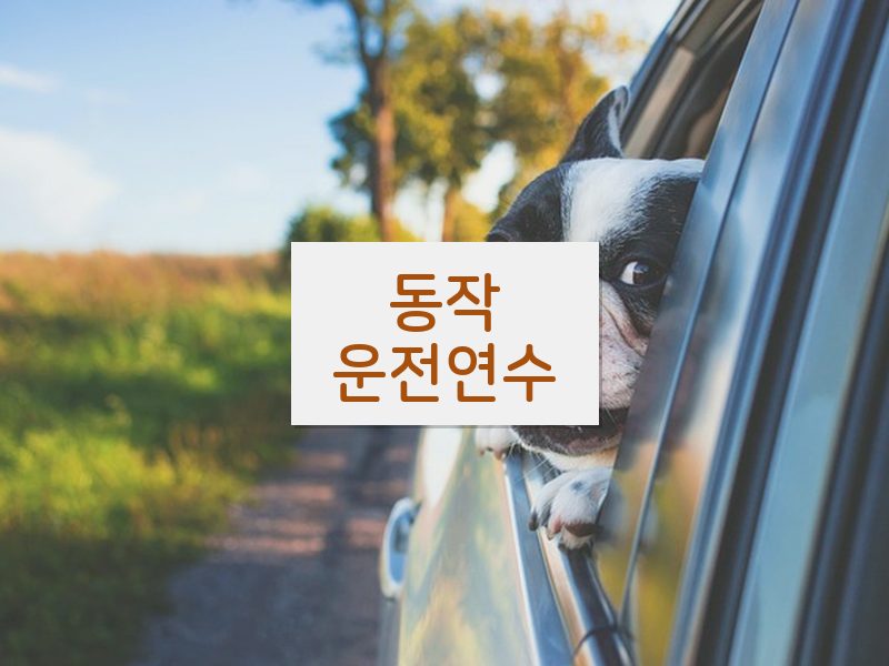 동작운전연수 후기