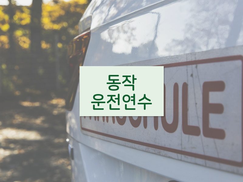 동작운전연수 후기