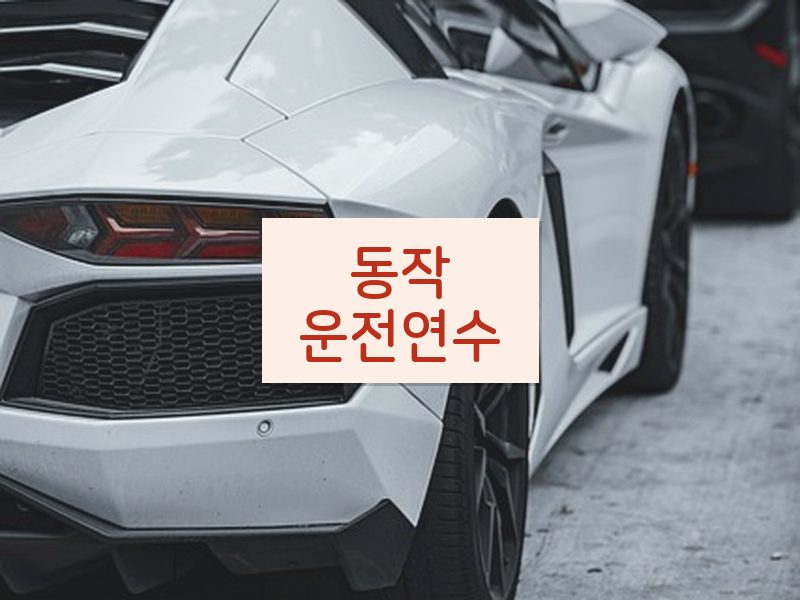 동작운전연수 후기