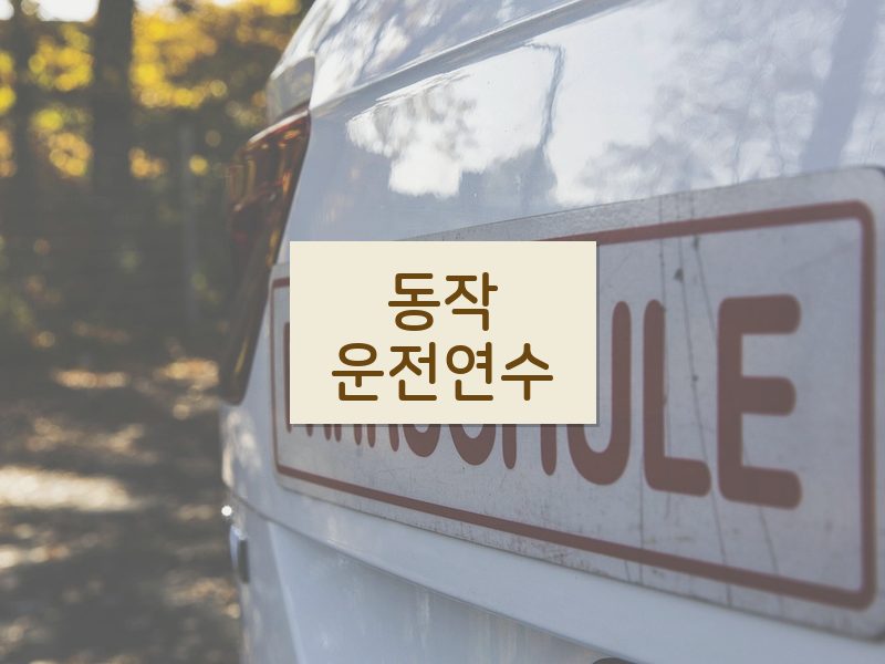 동작운전연수 후기