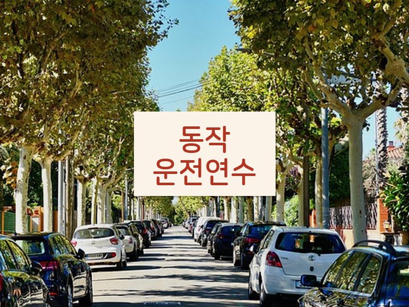 동작운전연수 후기