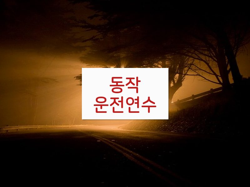 동작운전연수 후기