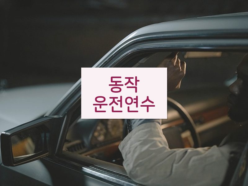 동작운전연수 후기