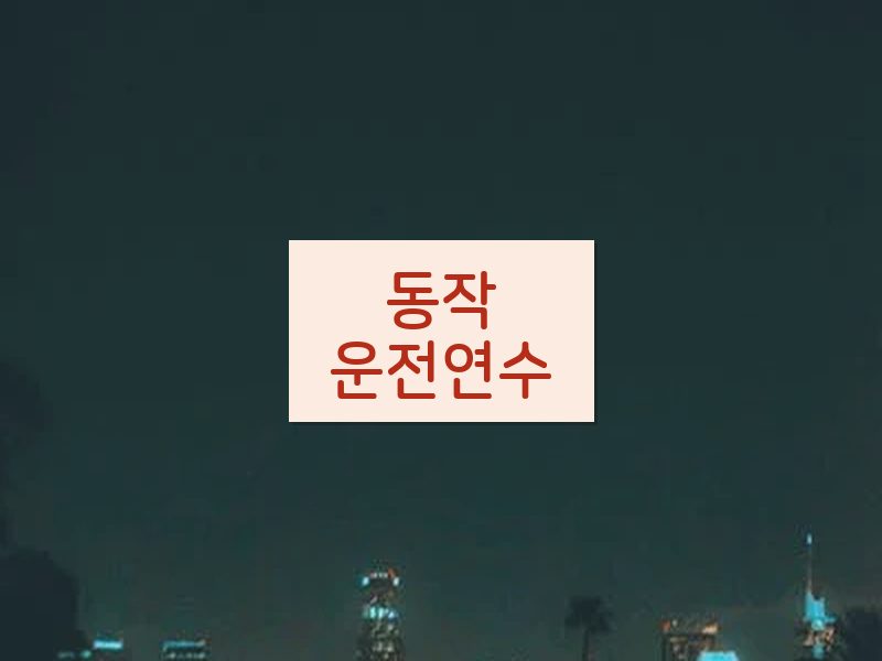 동작운전연수 후기