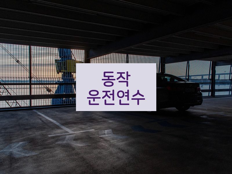 동작운전연수 후기