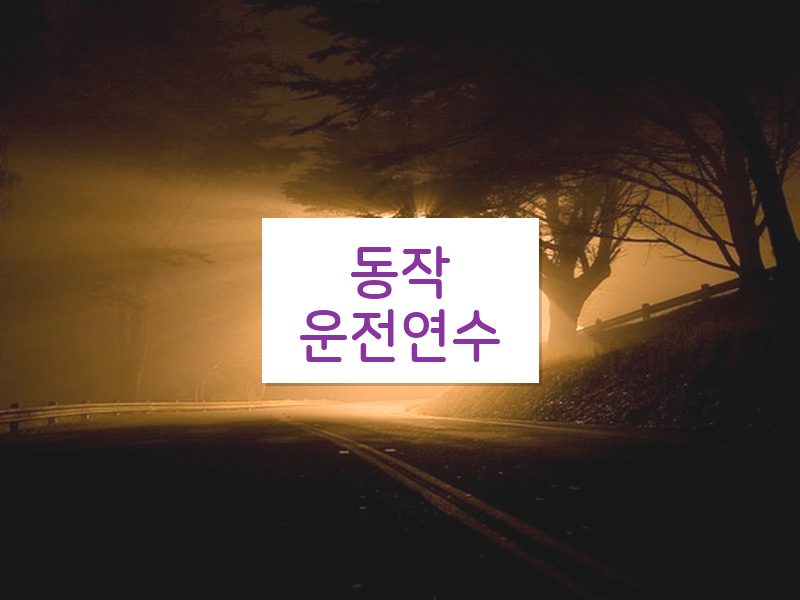 동작운전연수 후기