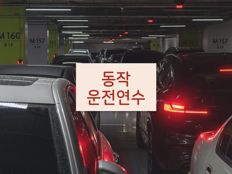 동작운전연수 후기