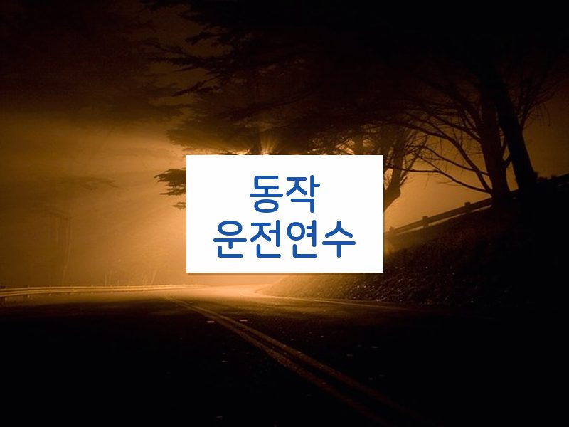 동작운전연수 후기