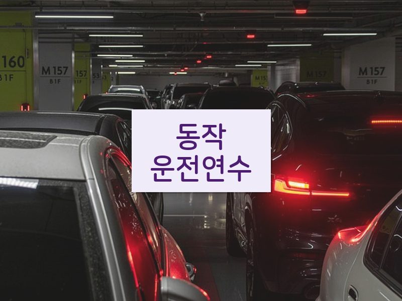 동작운전연수 후기