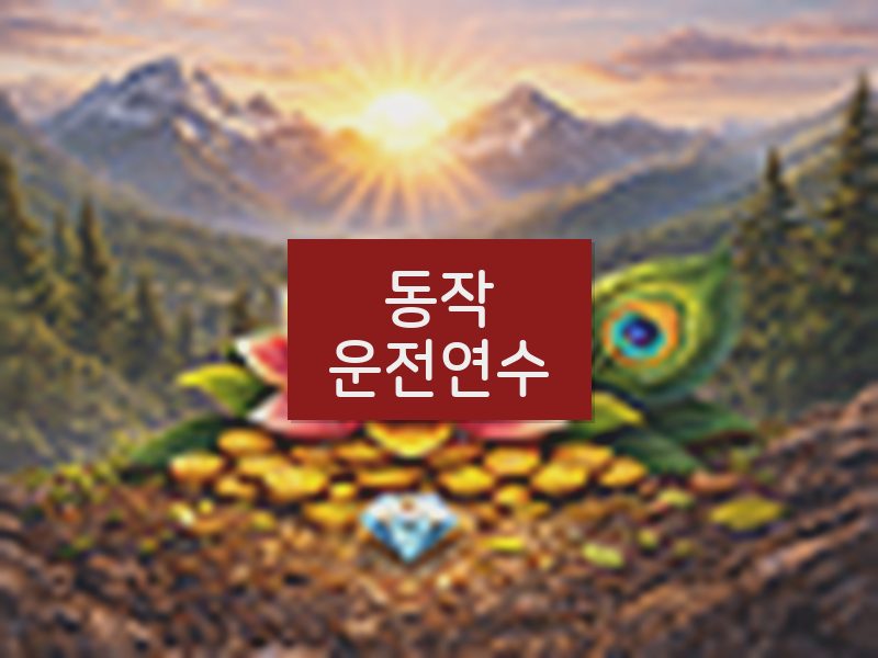 동작운전연수 후기