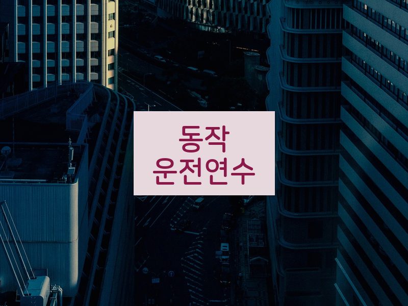 동작운전연수 후기