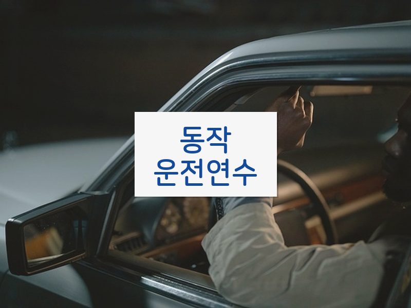 동작운전연수 후기