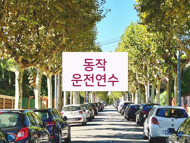 동작운전연수 후기