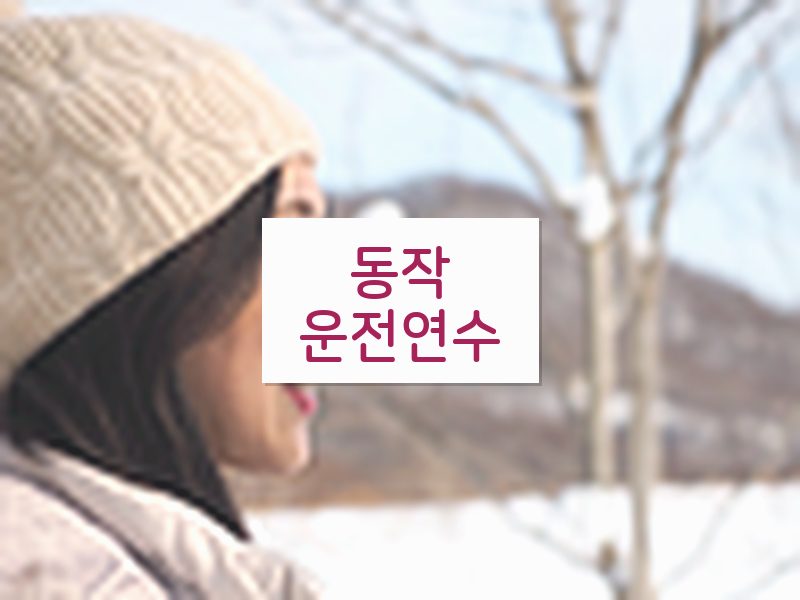 동작운전연수 후기