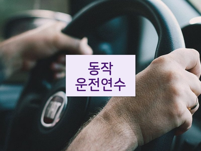 동작운전연수 후기