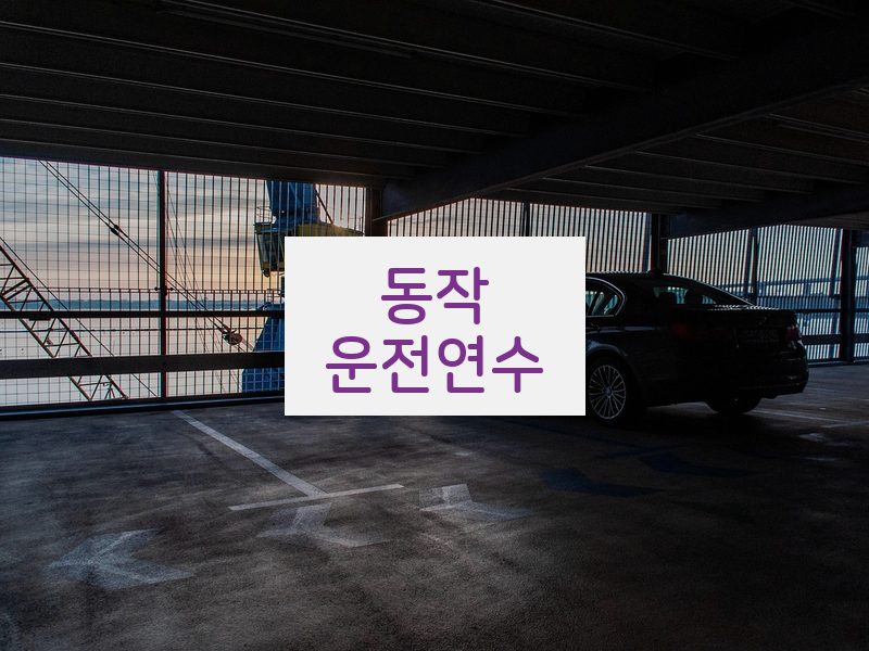 동작운전연수 후기