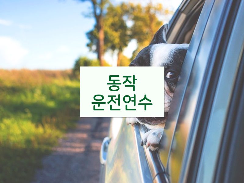 동작운전연수 후기