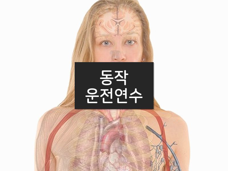 동작운전연수 후기