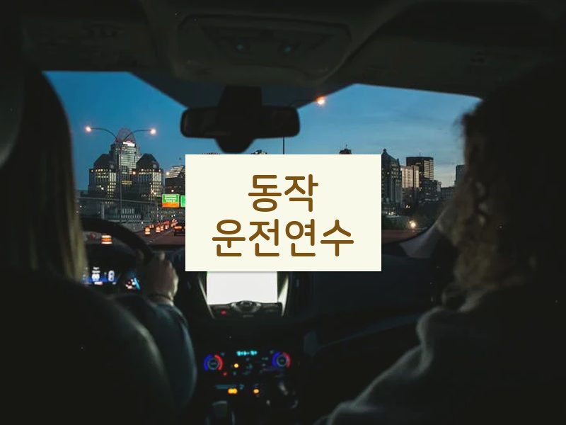 동작운전연수 후기