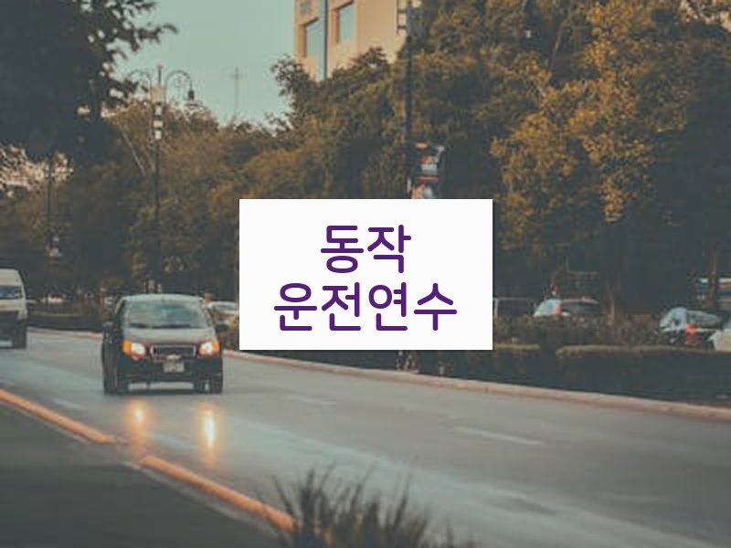 동작운전연수 후기