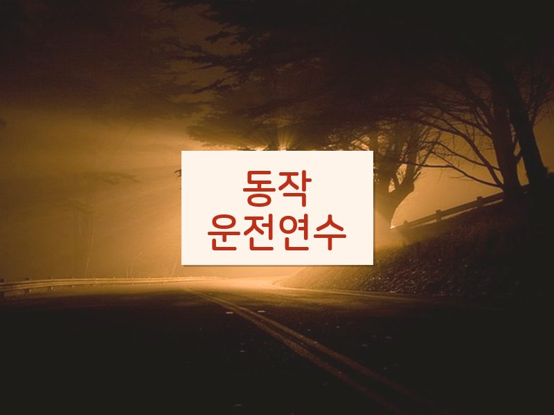 동작운전연수 후기