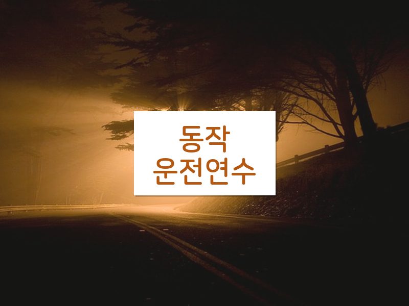 동작운전연수 후기