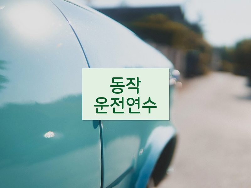 동작운전연수 후기