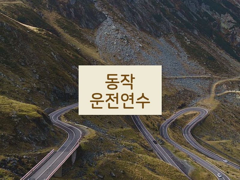 동작운전연수 후기