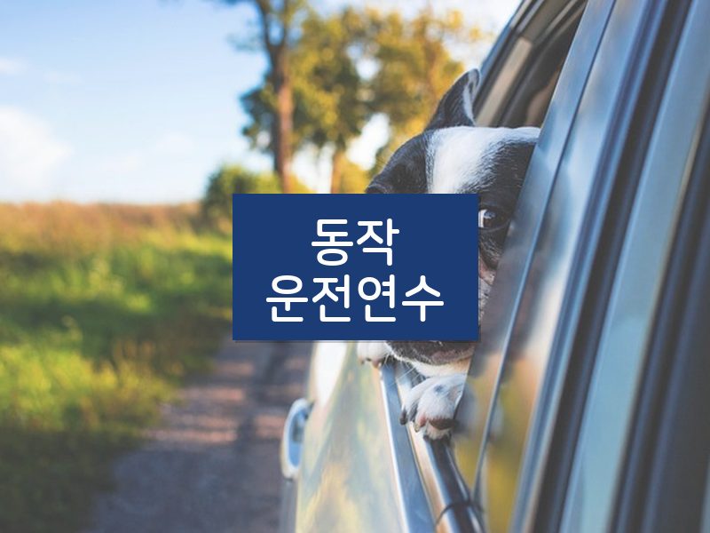 동작운전연수 후기