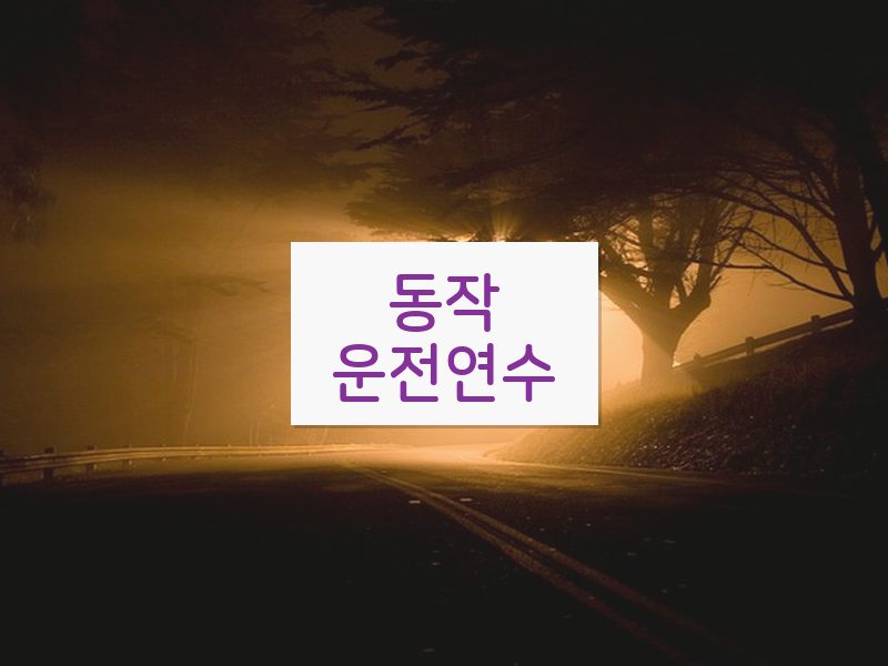 동작운전연수 후기