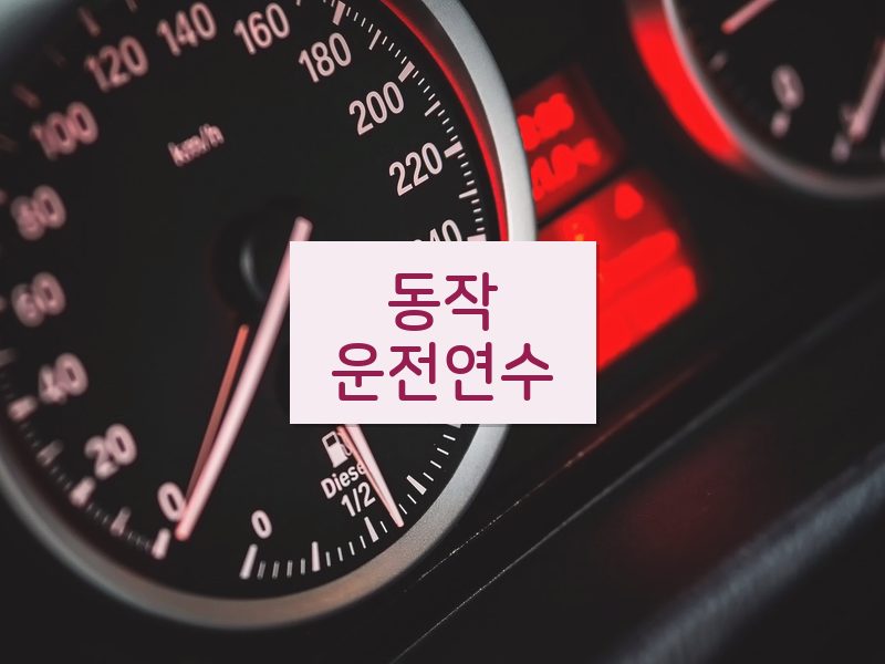 동작운전연수 후기