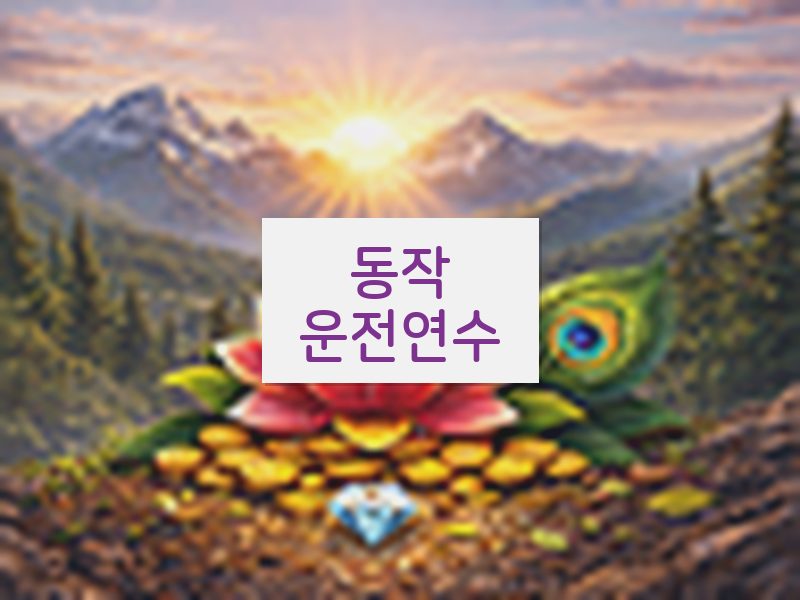 동작운전연수 후기