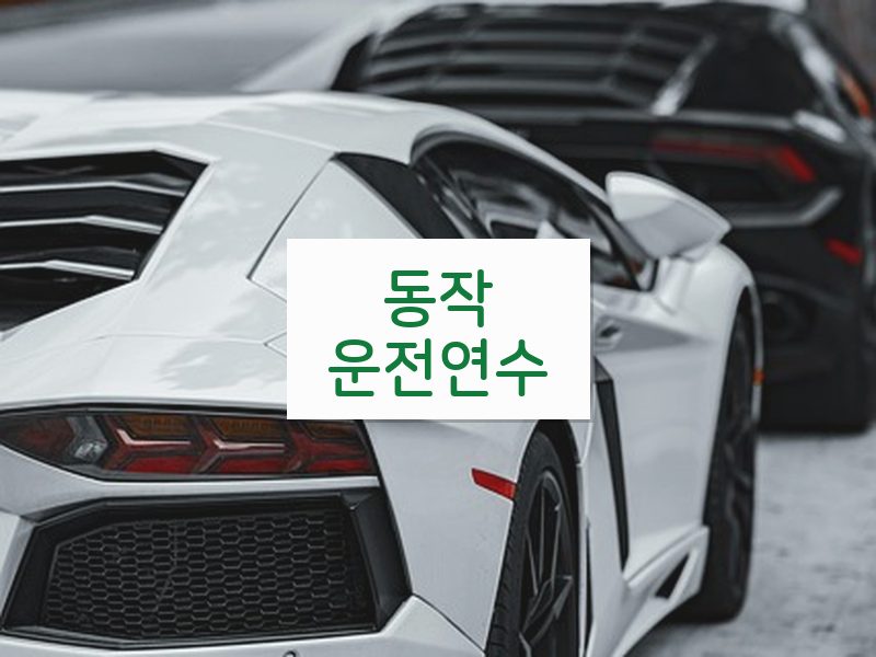 동작운전연수 후기