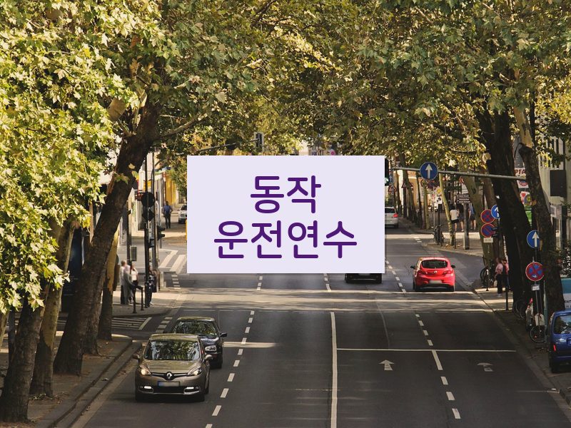 동작운전연수 후기