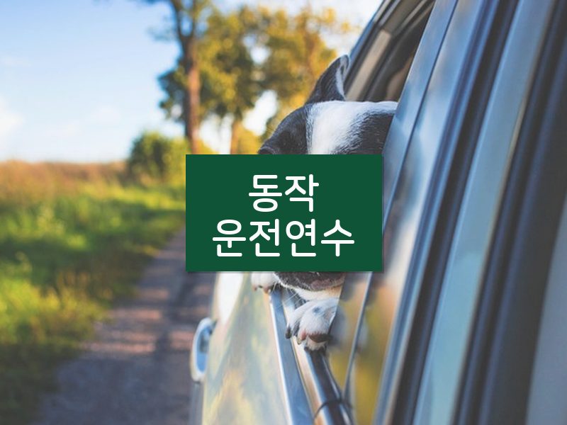 동작운전연수 후기
