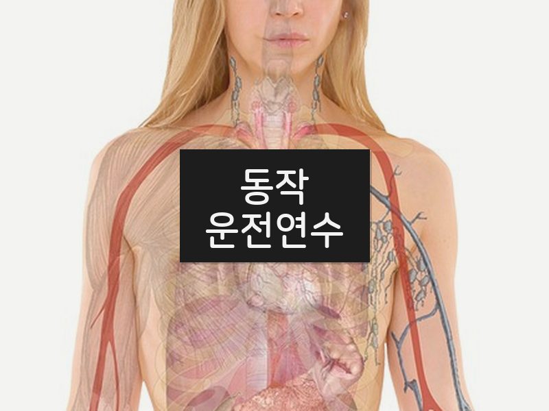 동작운전연수 후기